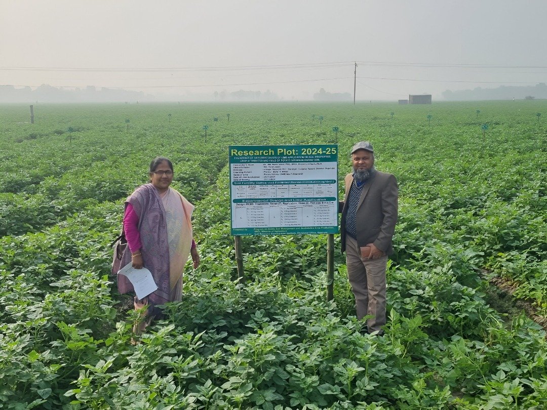 Field